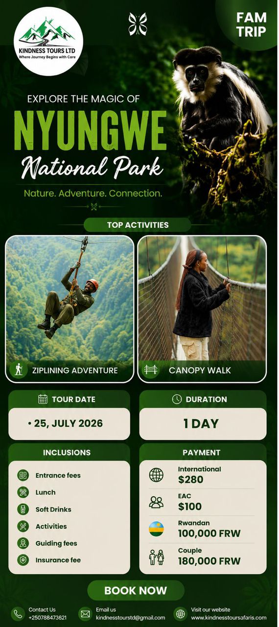 Explore Nyungwe National Park