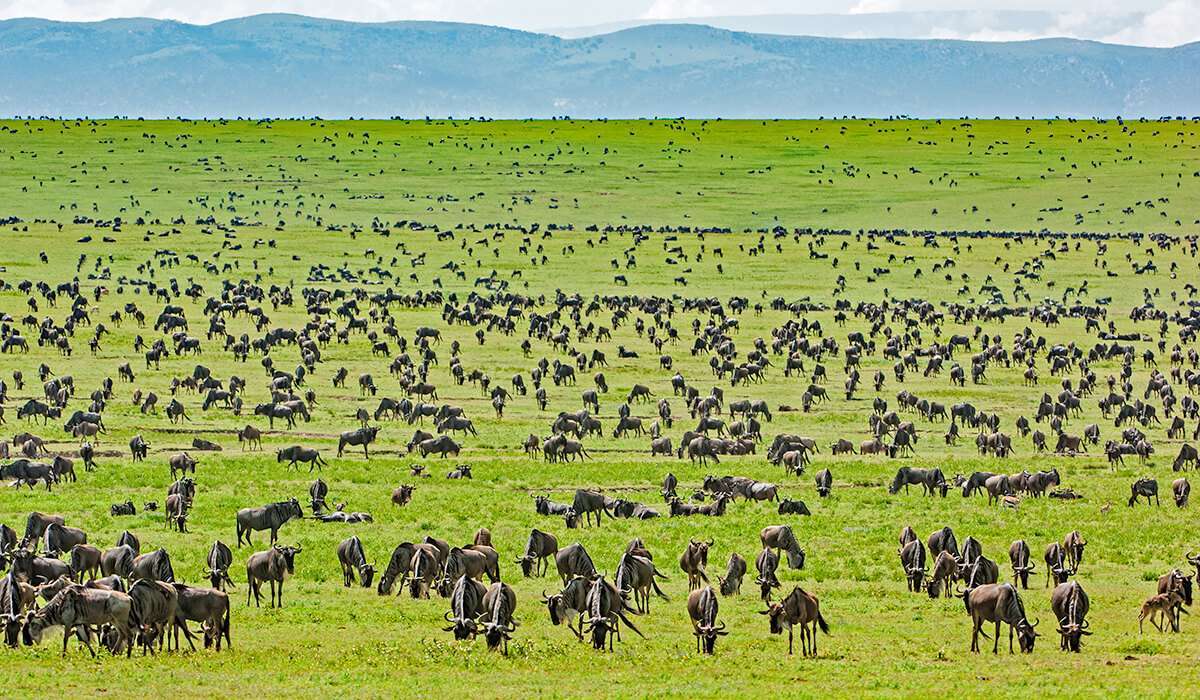 tanzania