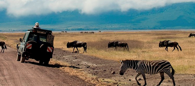 Luxury Tanzania Safari – Signature Experience (2 Pax)