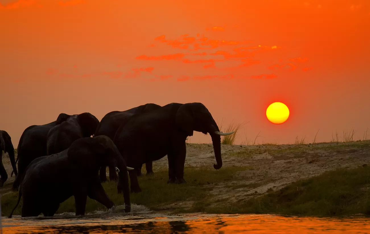 Private Tanzania Safari – Comfort Tour (2 Pax)