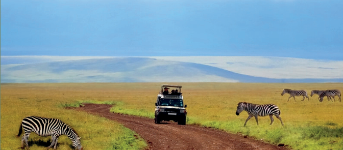 Ngorongoro Crater Safari