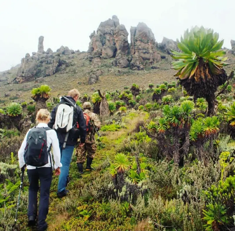 More Mount Elgon Hike Sasa Trail