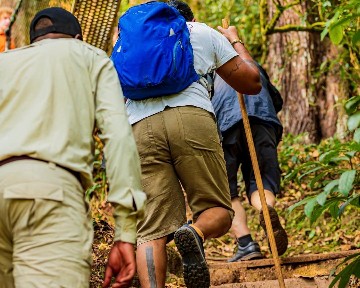 Rwanda Mountain Gorillas, Golden Monkeys & Kigali Experience