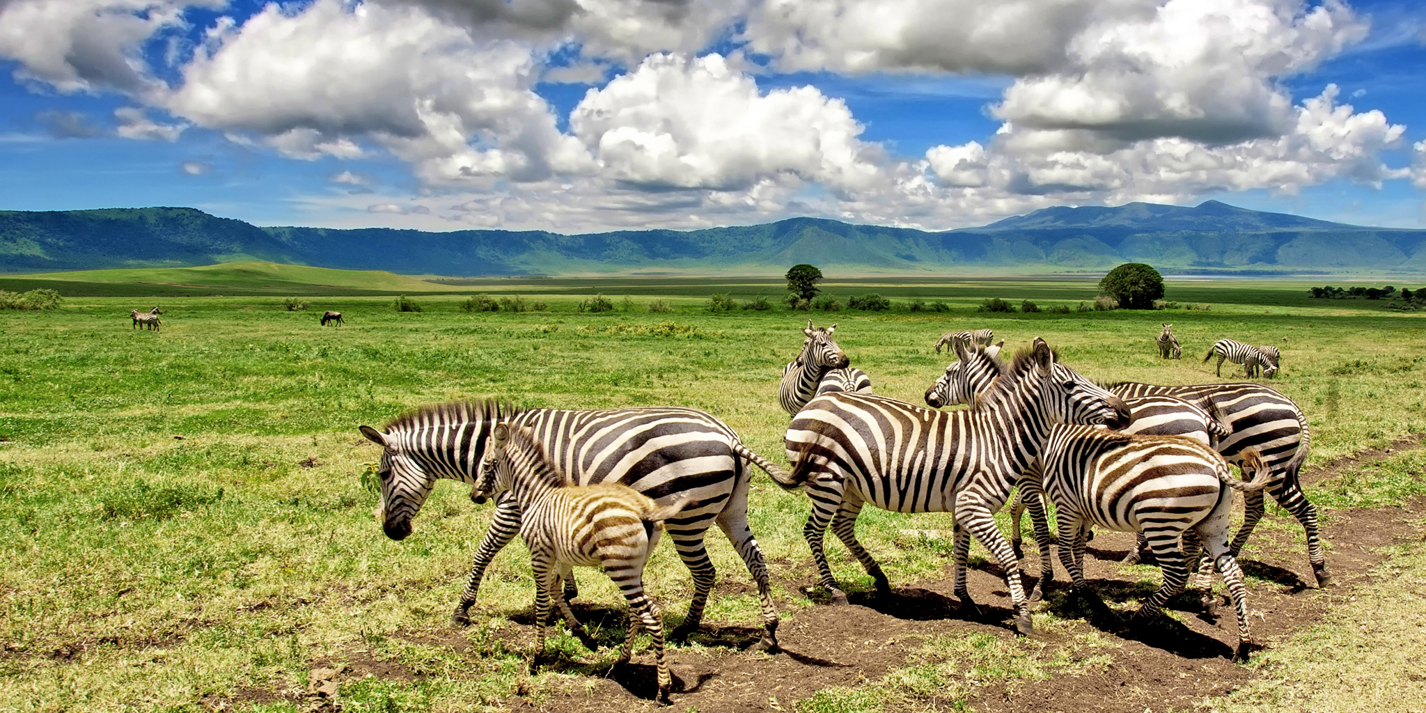 Tanzania Northern Circuit Classic Safari (2 Pax)