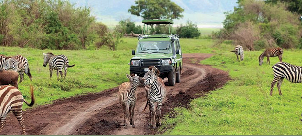 Luxury Tanzania Safari from Arusha – Ngorongoro & Tarangire (2 Pax)