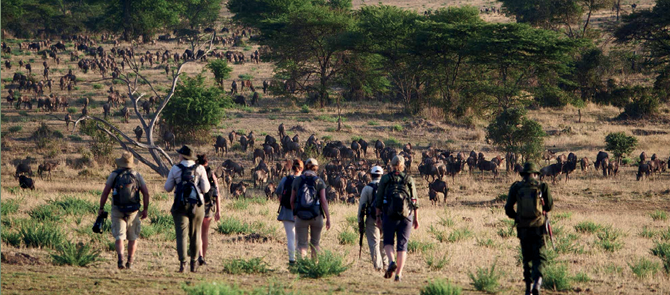 Day Ultimate Tanzania Safari The Great African Safari Journey (2 Pax)