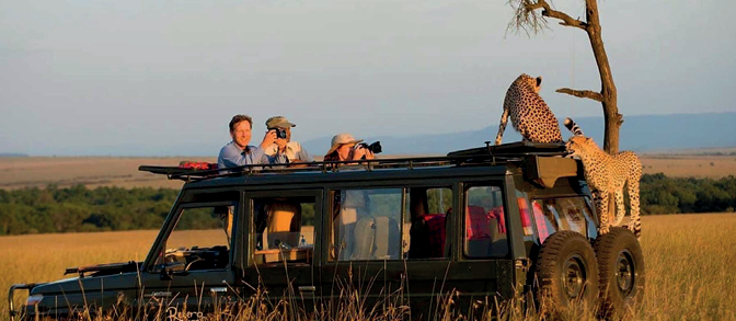 Serengeti Calving Season Safari (2 Pax)