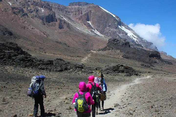 Kilimanjaro Rongai Route – Classic Tanzania Trek