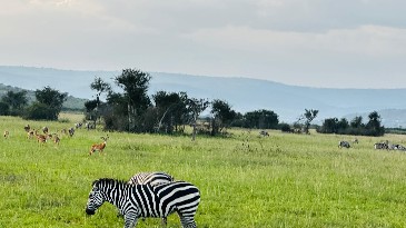 Rwanda Akagera National Park: Big Game & Scenic Safari