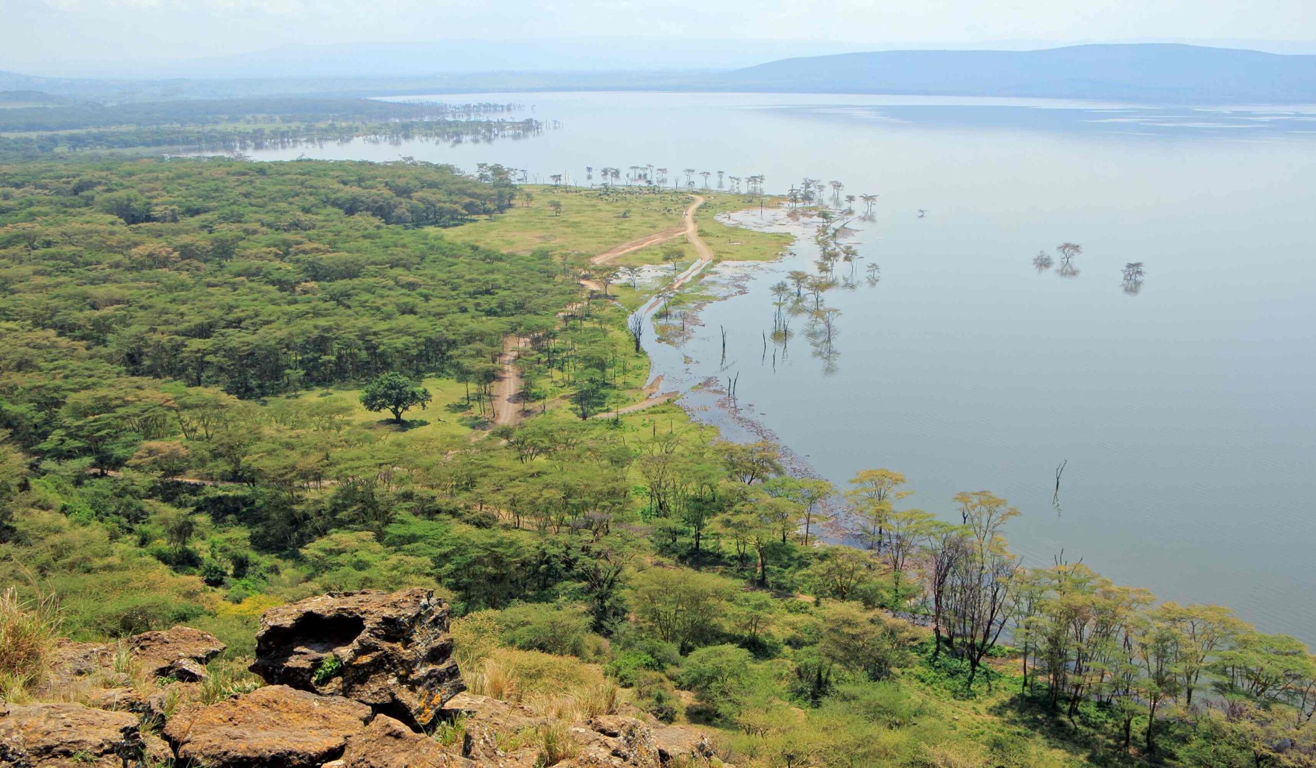 Masai Mara, Lake Nakuru & Lake Naivasha tour