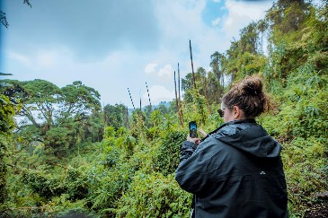 Rwanda Volcanoes National Park visit: Gorilla Trekking Day trip