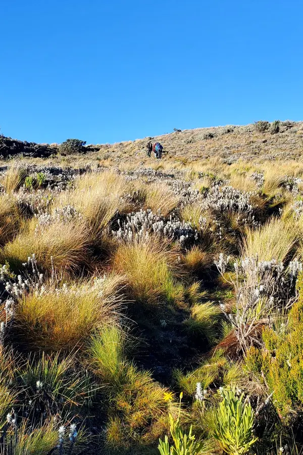 Mount Elgon Hike Sipi – Bushiyi Trail