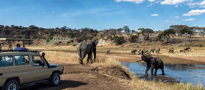 Tanzania Safari from Zanzibar – Tarangire, Ngorongoro & Lake Manyara