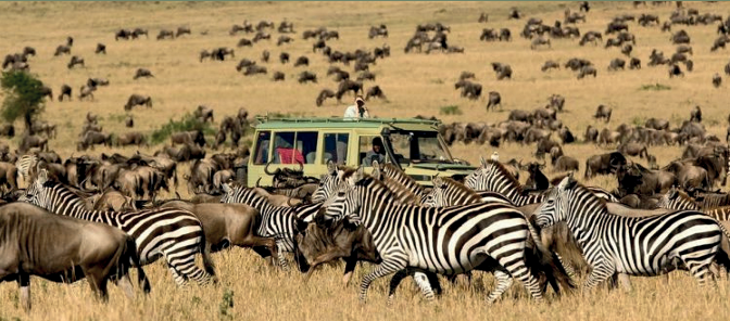 Serengeti & Ngorongoro Classic Safari