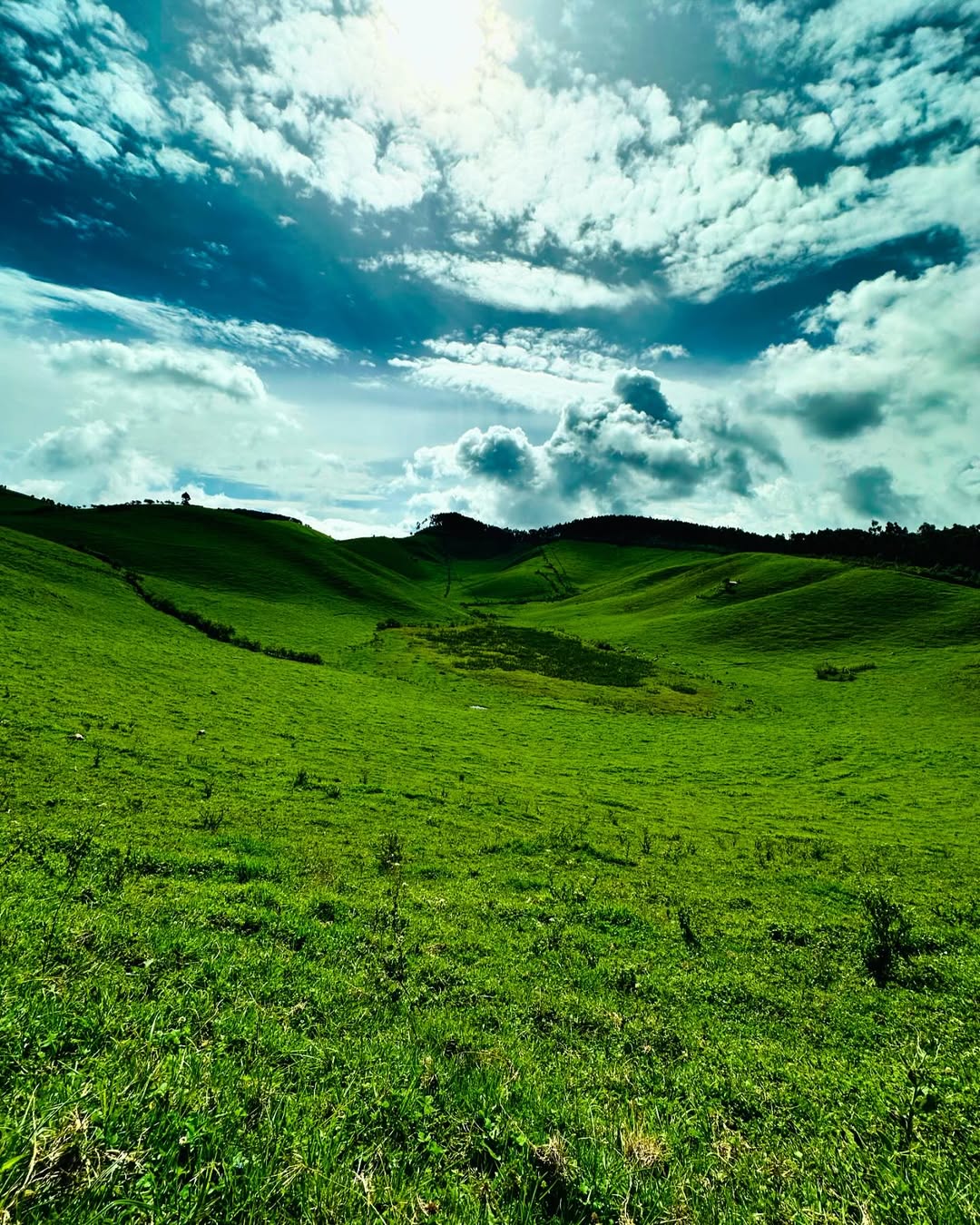 Rwanda Cultural & Natural Wonders: Visit Ibere Rya Bigogwe Adventure Day trip