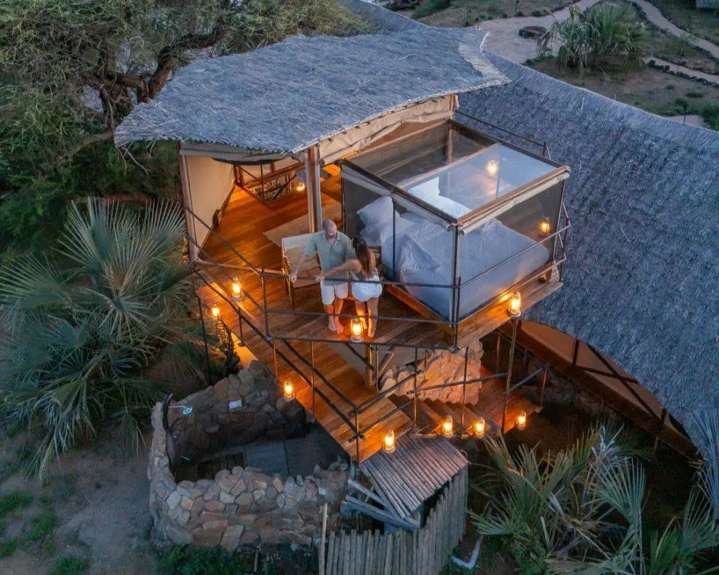 Honeymoon Safari Package