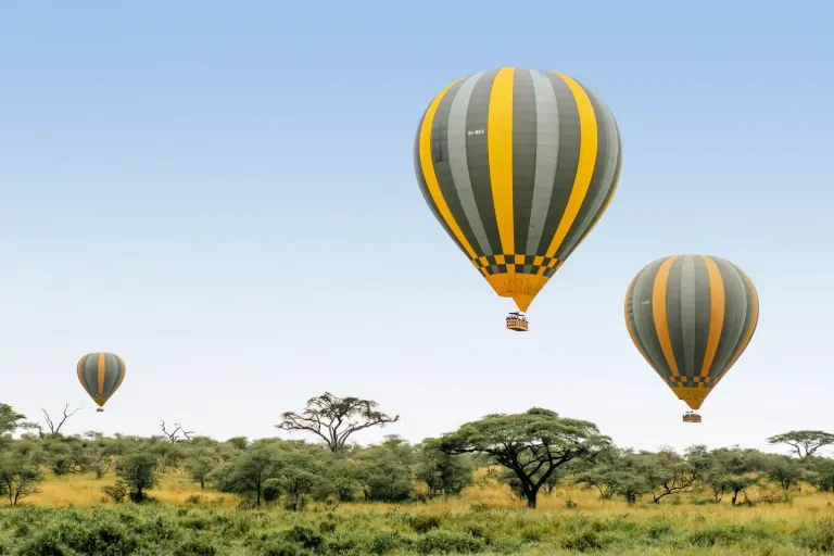 Serengeti & Ngorongoro Classic Safari
