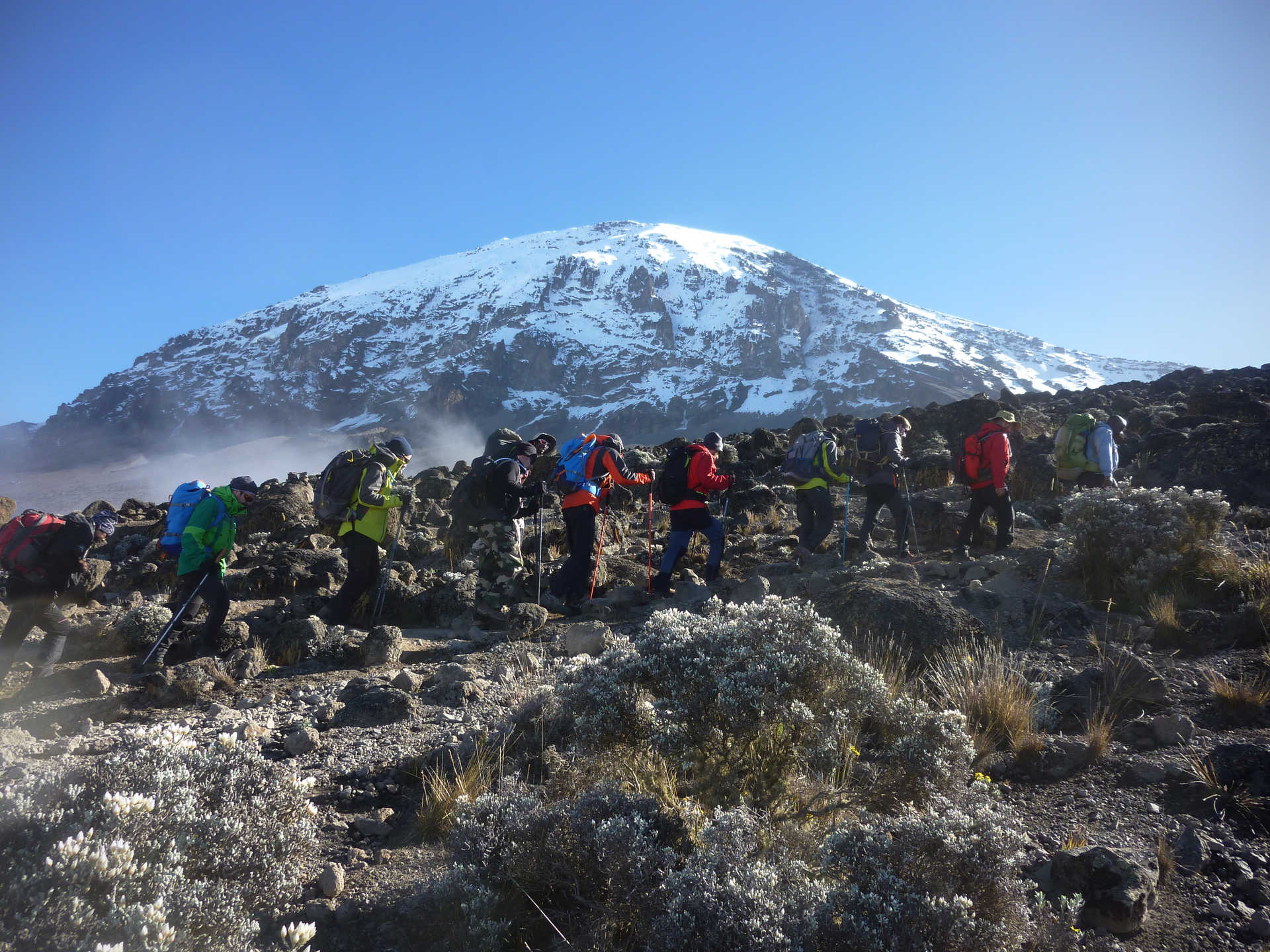 Kilimanjaro Northern Circuit – Premium Summit Adventure